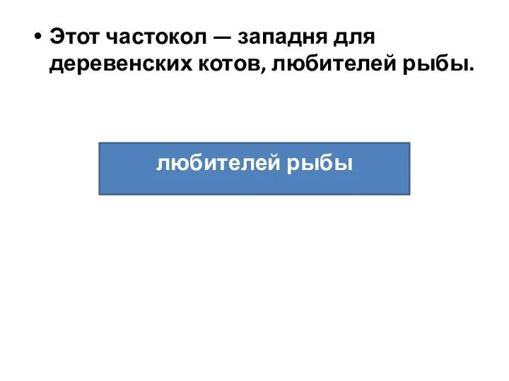 Этот частокол — западня для деревенских котов, любителей рыбы. любителей рыбы