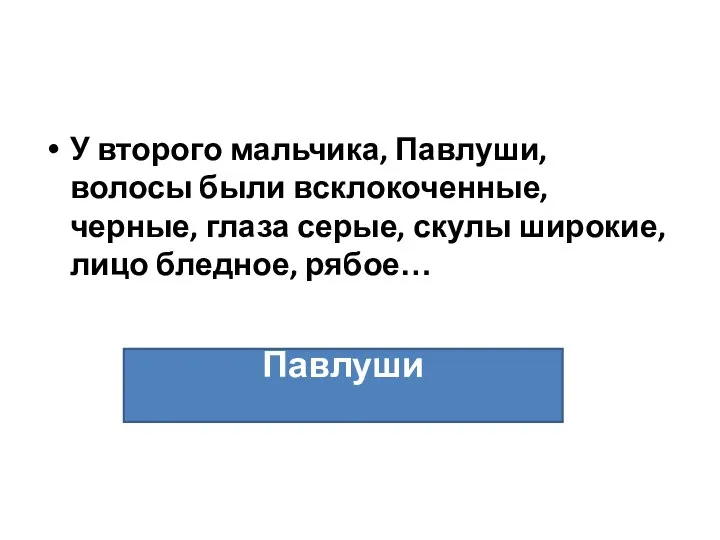 У второго мальчика, Павлуши, волосы были всклокоченные, черные, глаза серые, скулы широкие, лицо бледное, рябое… Павлуши