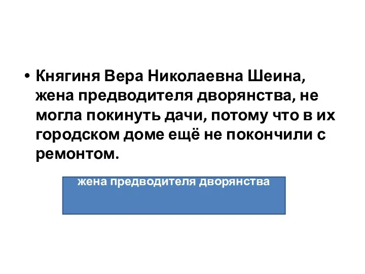 Княгиня Вера Николаевна Шеина, жена предводителя дворянства, не могла покинуть дачи,