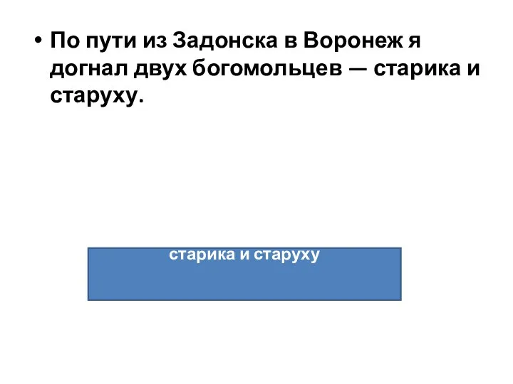 По пути из Задонска в Воронеж я догнал двух богомольцев —