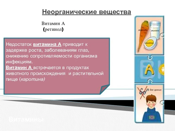 Неорганические вещества Витамины Витамин А (ретинол) Недостаток витамина А приводит к