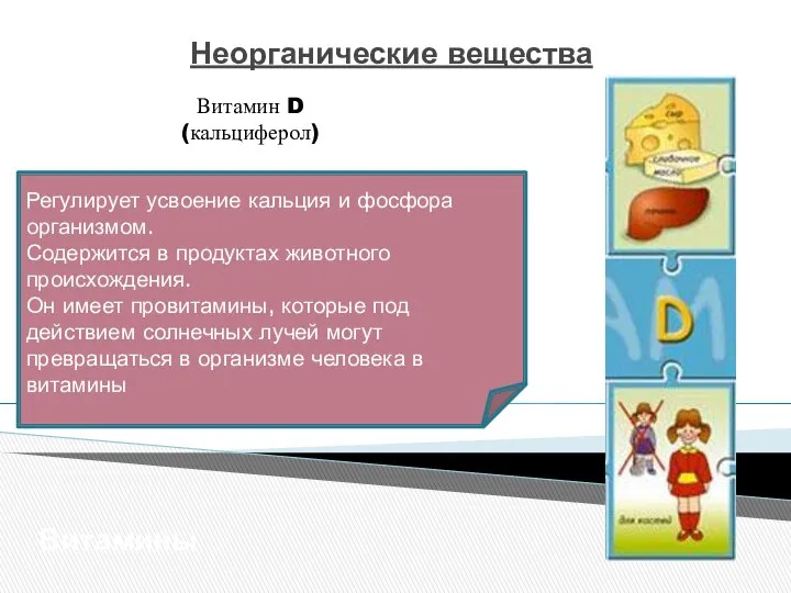 Неорганические вещества Витамины Витамин D (кальциферол) Регулирует усвоение кальция и фосфора