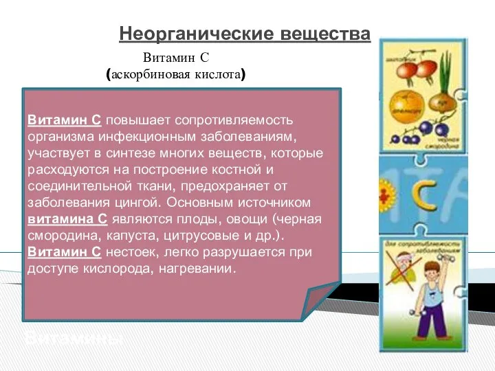 Неорганические вещества Витамины Витамин С (аскорбиновая кислота) Витамин С повышает сопротивляемость