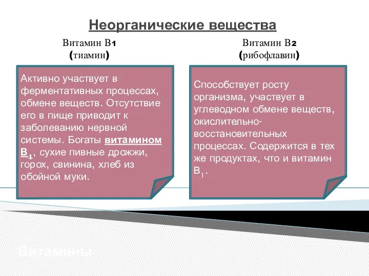 Неорганические вещества Витамины Витамин В1 (тиамин) Активно участвует в ферментативных процессах,