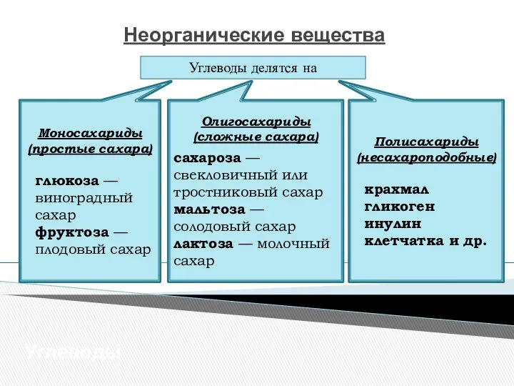 Неорганические вещества Углеводы Углеводы делятся на Моносахариды (простые сахара) глюкоза —