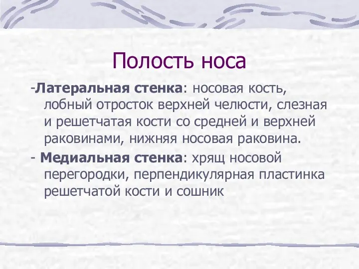 Полость носа -Латеральная стенка: носовая кость, лобный отросток верхней челюсти, слезная