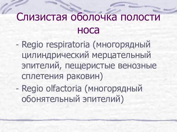 Слизистая оболочка полости носа Regio respiratoria (многорядный цилиндрический мерцательный эпителий, пещеристые