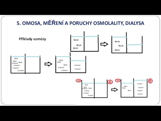 Příklady osmózy 5. OMOSA, MĚŘENÍ A PORUCHY OSMOLALITY, DIALYSA