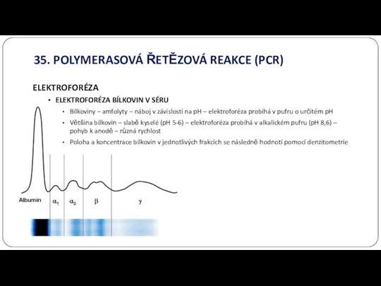 35. POLYMERASOVÁ ŘETĚZOVÁ REAKCE (PCR) ELEKTROFORÉZA ELEKTROFORÉZA BÍLKOVIN V SÉRU Bílkoviny