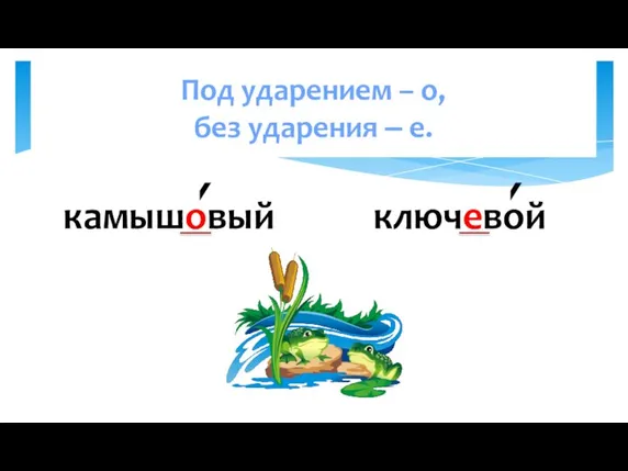 камышовый ключевой Правописание о, е после шипящих в прилагательных Под ударением