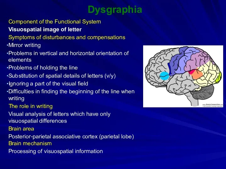 Dysgraphia Component of the Functional System Visuospatial image of letter Symptoms