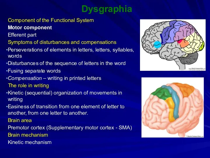 Dysgraphia Component of the Functional System Motor component Efferent part Symptoms