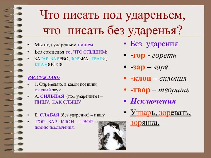 Что писать под удареньем, что писать без ударенья? Мы под удареньем