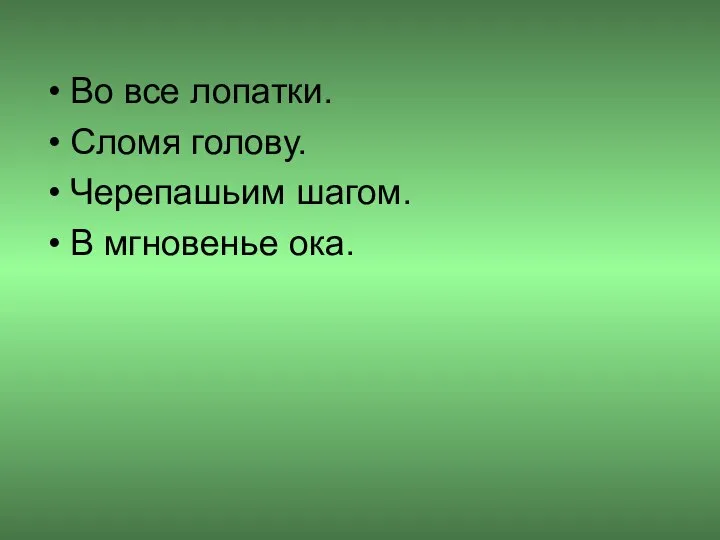 Во все лопатки. Сломя голову. Черепашьим шагом. В мгновенье ока.