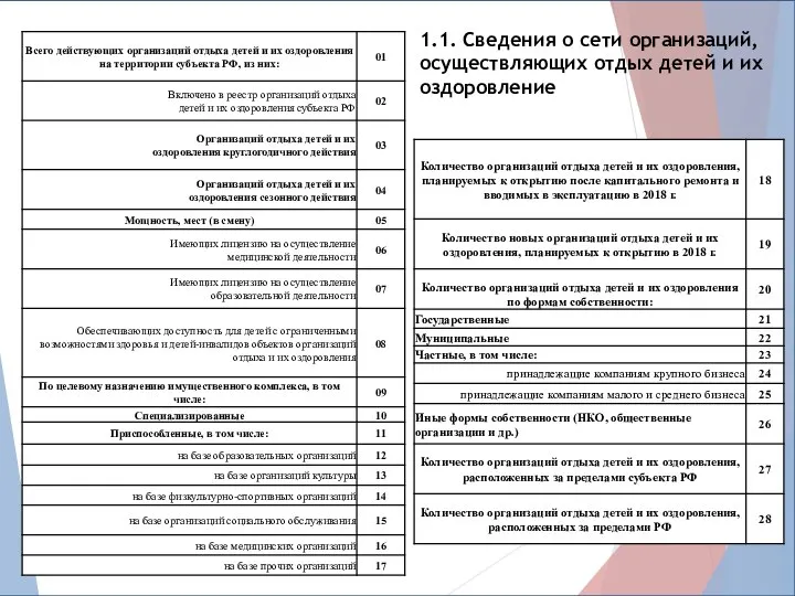 1.1. Сведения о сети организаций, осуществляющих отдых детей и их оздоровление