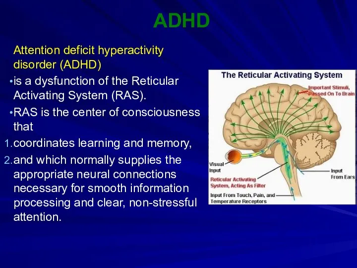 ADHD Attention deficit hyperactivity disorder (ADHD) is a dysfunction of the