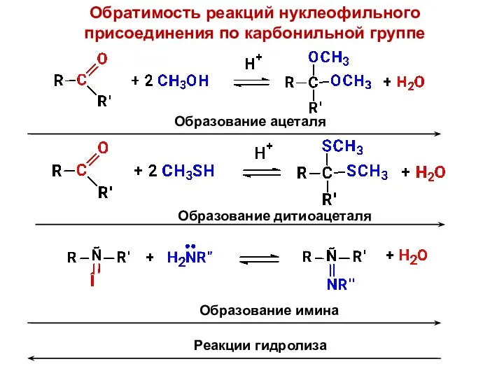 Обратимость реакций нуклеофильного присоединения по карбонильной группе Образование ацеталя Образование дитиоацеталя Образование имина Реакции гидролиза