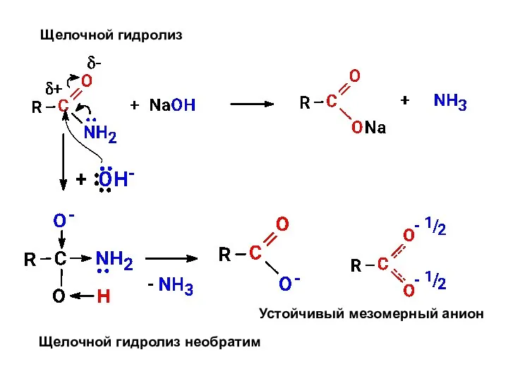 Щелочной гидролиз Щелочной гидролиз необратим Устойчивый мезомерный анион