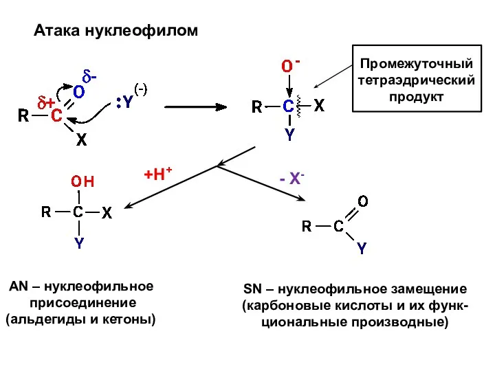 Атака нуклеофилом Промежуточный тетраэдрический продукт +Н+ - X- AN – нуклеофильное