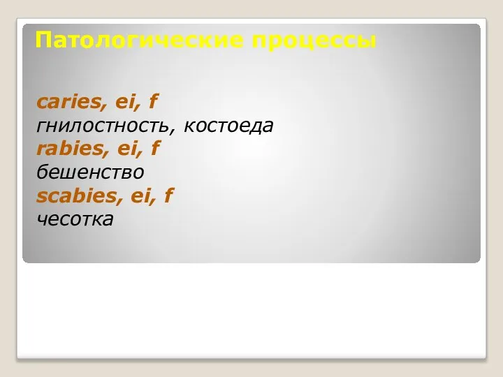 Патологические процессы caries, ei, f гнилостность, костоеда rabies, ei, f бешенство scabies, ei, f чесотка