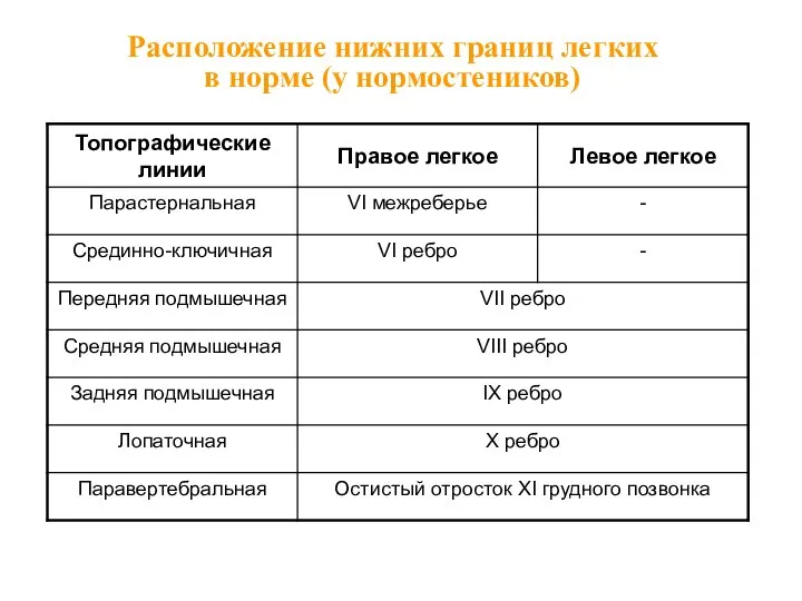 Расположение нижних границ легких в норме (у нормостеников)