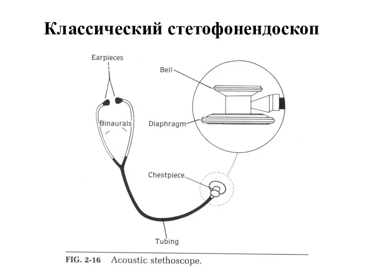 Классический стетофонендоскоп