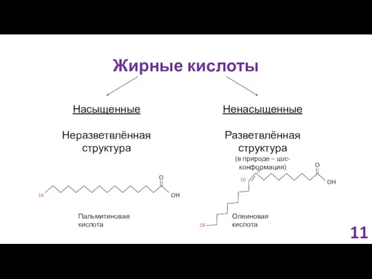 Жирные кислоты Насыщенные Неразветвлённая структура Ненасыщенные Разветвлённая структура (в природе –