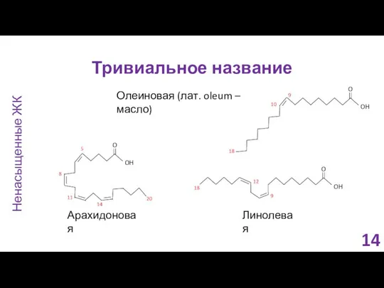 Тривиальное название Олеиновая (лат. oleum – масло) Арахидоновая Ненасыщенные ЖК Линолевая 14