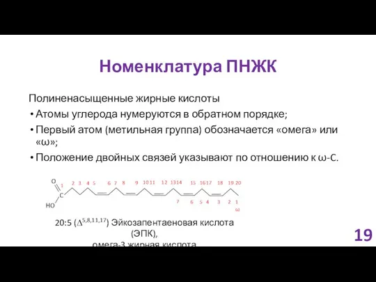 Номенклатура ПНЖК Полиненасыщенные жирные кислоты Атомы углерода нумеруются в обратном порядке;