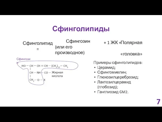 Сфинголипиды Сфинголипид = Сфингозин (или его производное) + 1 ЖК +