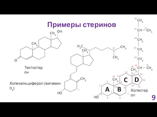 Примеры стеринов HO CH3 CH3 CH CH2 CH2 CH2 CH3 CH