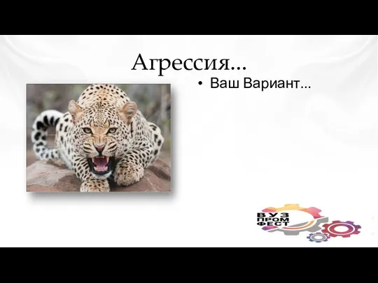 Агрессия... Ваш Вариант...