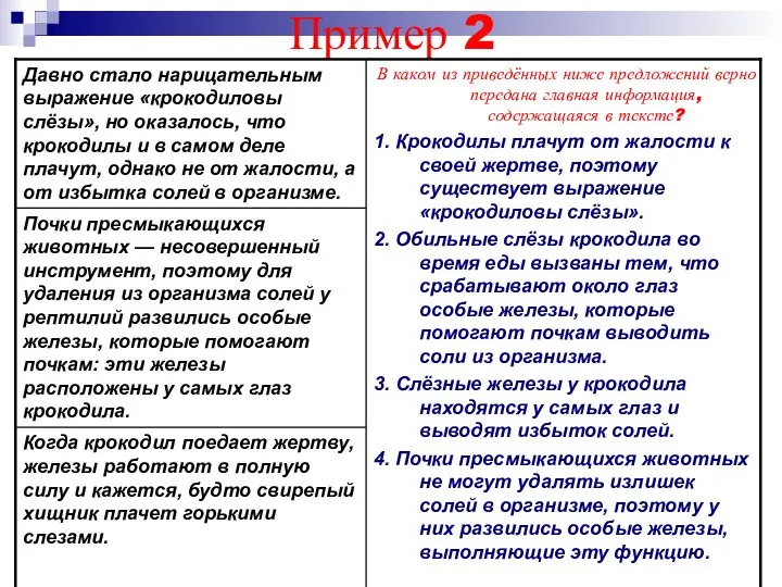 Пример 2