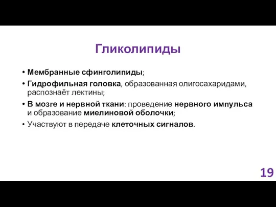 Гликолипиды Мембранные сфинголипиды; Гидрофильная головка, образованная олигосахаридами, распознаёт лектины; В мозге