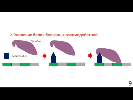 2. Усиление белок-белковых взаимодействий Антитромбин Тромбин 9