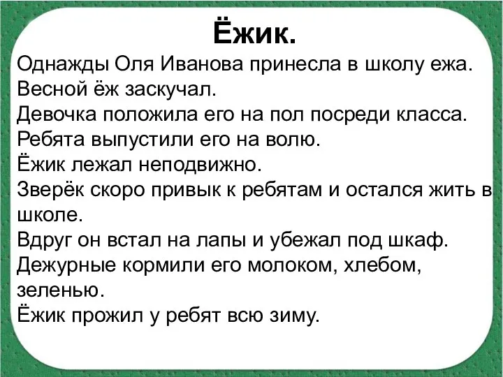 Ёжик. Однажды Оля Иванова принесла в школу ежа. Весной ёж заскучал.