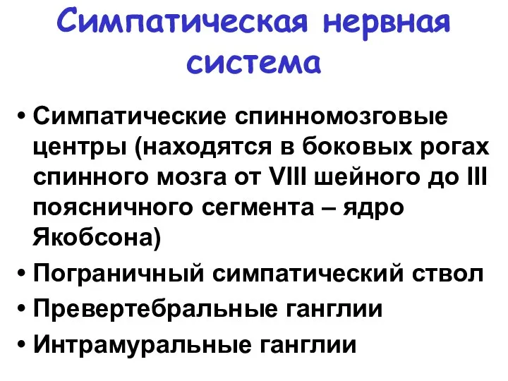 Симпатическая нервная система Симпатические спинномозговые центры (находятся в боковых рогах спинного