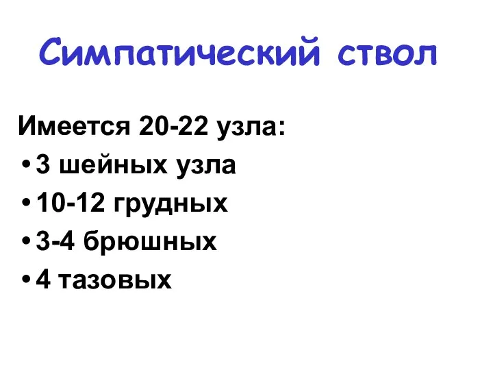 Симпатический ствол Имеется 20-22 узла: 3 шейных узла 10-12 грудных 3-4 брюшных 4 тазовых