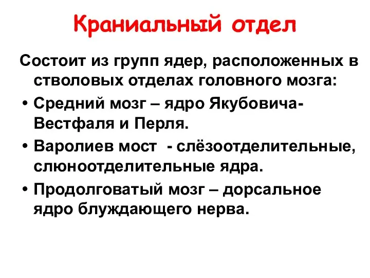 Краниальный отдел Состоит из групп ядер, расположенных в стволовых отделах головного