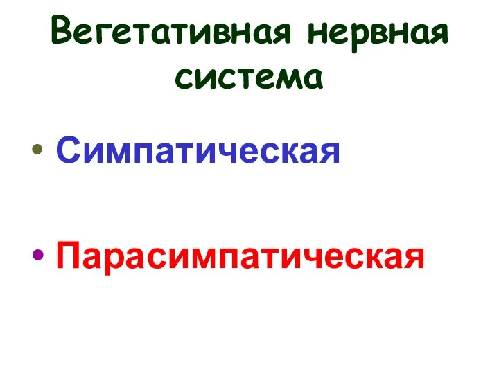 Вегетативная нервная система Симпатическая Парасимпатическая