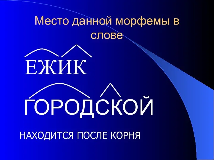 Место данной морфемы в слове ЕЖИК ГОРОДСКОЙ НАХОДИТСЯ ПОСЛЕ КОРНЯ