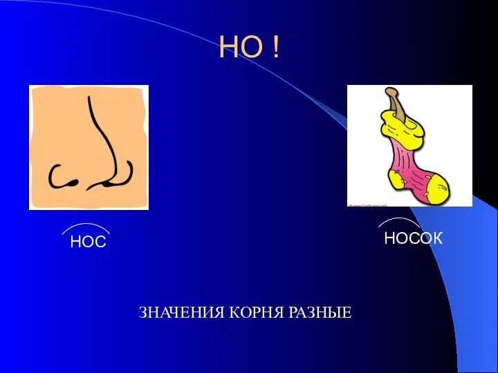 НО ! ЗНАЧЕНИЯ КОРНЯ РАЗНЫЕ НОС НОСОК