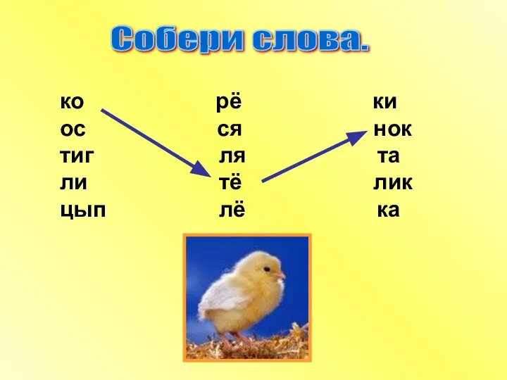 Собери слова. ко рё ки ос ся нок тиг ля та