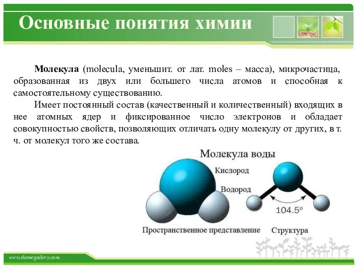 Основные понятия химии Молекула (molecula, уменьшит. от лат. moles – масса),