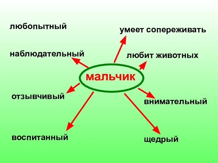 мальчик любопытный наблюдательный отзывчивый воспитанный умеет сопереживать любит животных внимательный щедрый