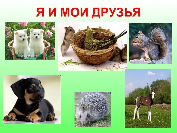 Я И МОИ ДРУЗЬЯ