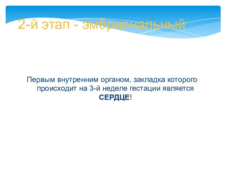 2-й этап - эмбриональный Первым внутренним органом, закладка которого происходит на 3-й неделе гестации является СЕРДЦЕ!