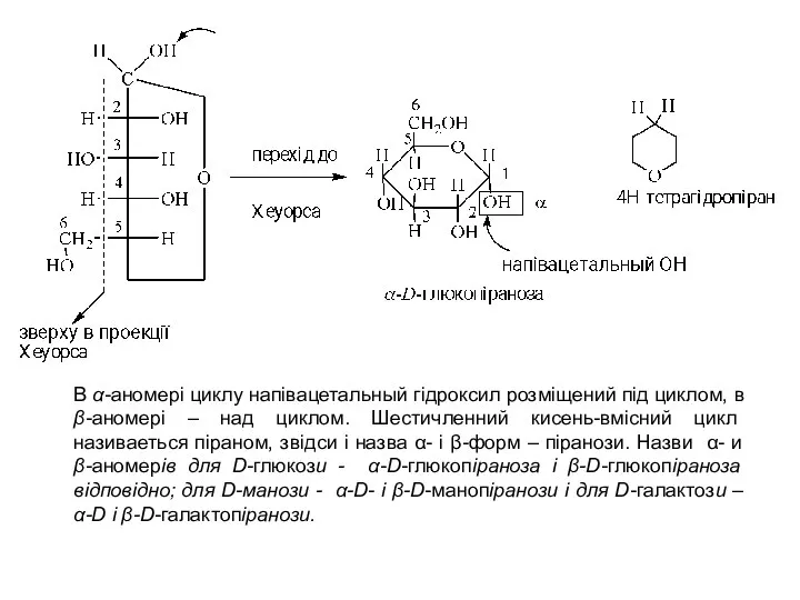 В α-аномері циклу напівацетальный гідроксил розміщений під циклом, в β-аномері –