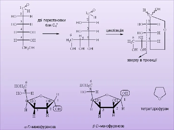 В α-аномері циклу напівацетальный гідроксил розміщений під циклом, в β-аномері –