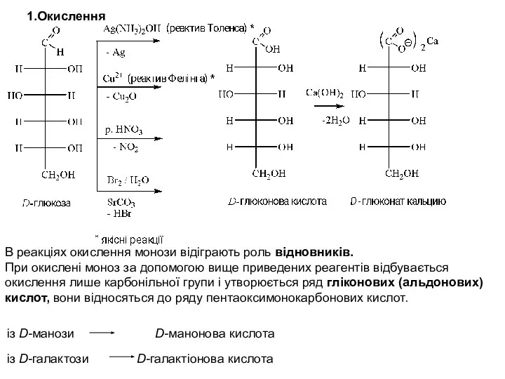 1.Окислення В реакціях окислення монози відіграють роль відновників. При окислені моноз